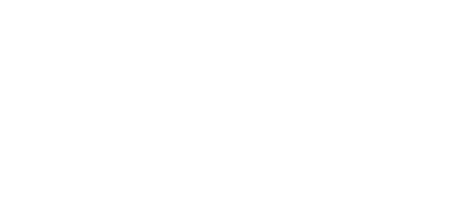 通年プロジェクト